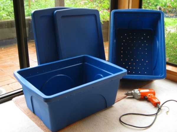 Saiba como construir um minhocário e fazer compostagem