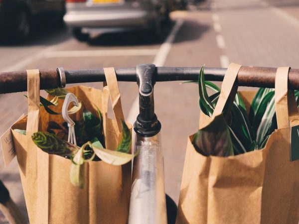 11 pequenas mudanças para um mundo sustentável