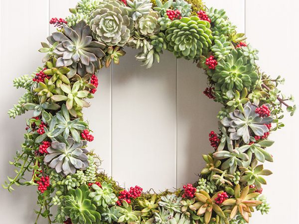 Como fazer uma guirlanda de suculentas para o natal