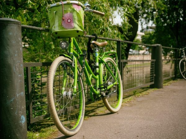 Venha conferir a rota de ecoturismo na zona sul de São Paulo