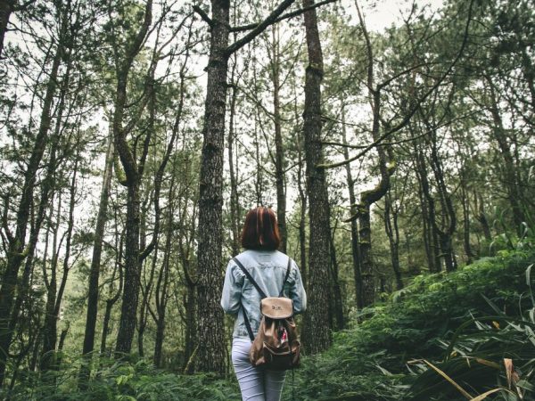 7 terapias que auxiliam no tratamento da depressão