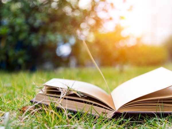 Educação de Alma Brasileira – Uma história sobre a educação no nosso país