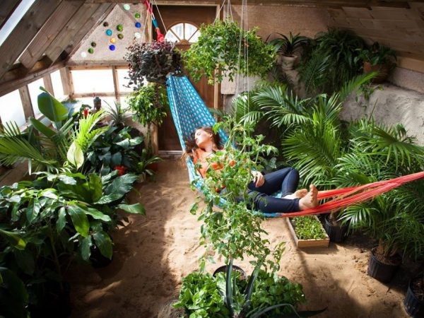 3 Dicas de Sobrevivência para a Vida Moderna