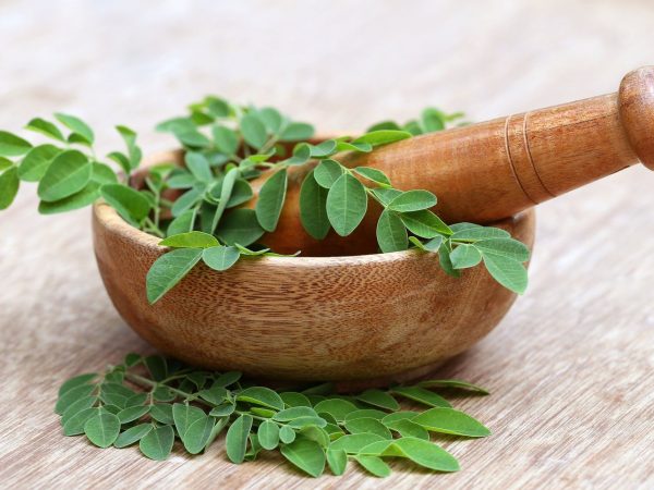 Conheça a moringa – uma planta super nutritiva!
