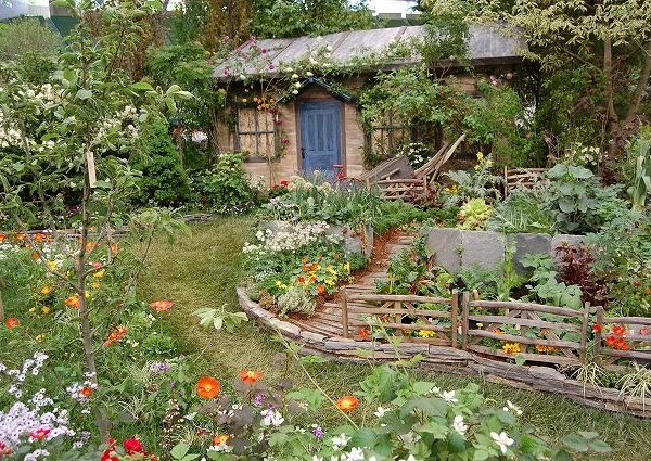 5 flores que afastam pragas da sua horta