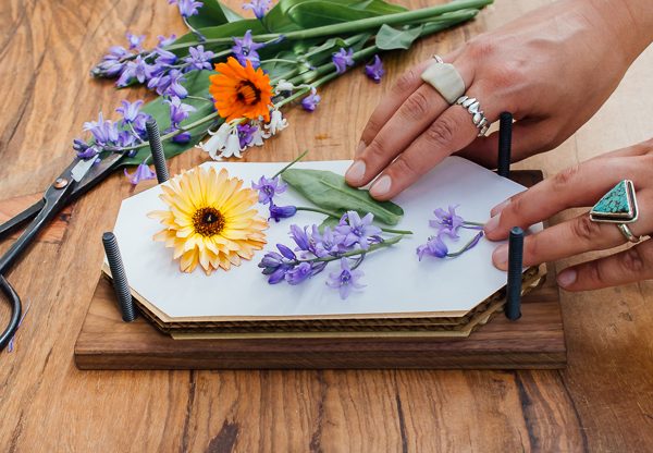 Saiba como desidratar flores em casa para fazer lindos quadros