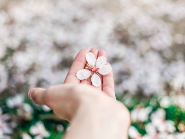 3 frases para abrir os caminhos no dia a dia e na vida