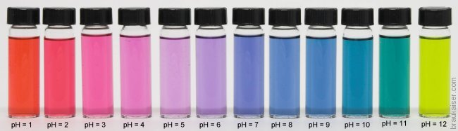 repolho roxo nivel de pH