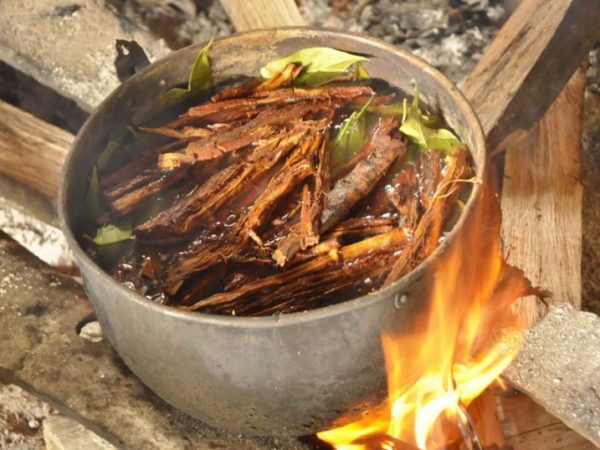 Ayahuasca – a bebida que pode curar alcoolismo e depressão