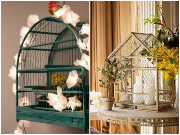 Projeto dá novo destino às gaiolas apreendidas da caça ilegal