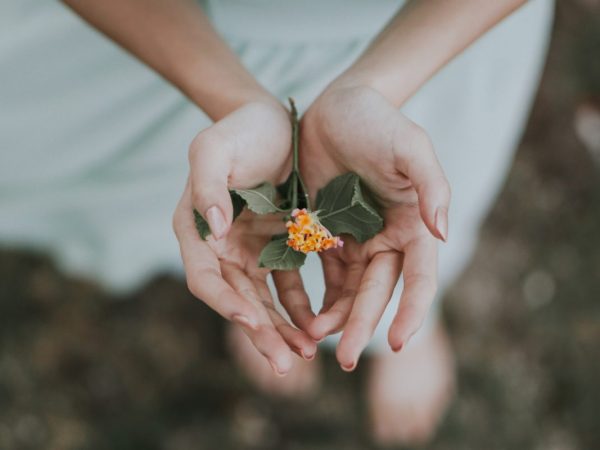 A Cura para Nós e para a Terra com a Ecopsicologia