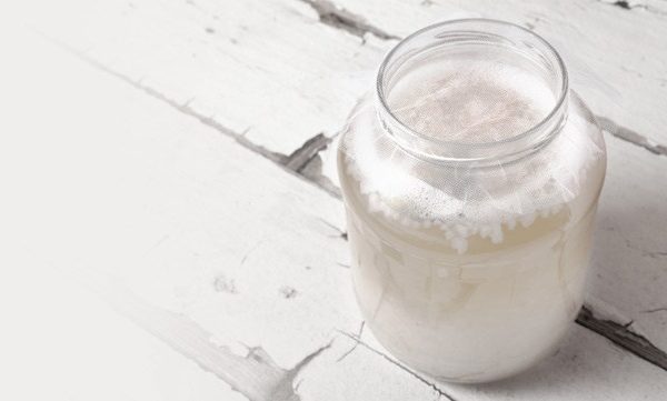 Kefir de água de coco: uma bebida altamente saudável