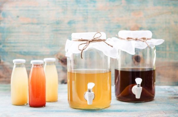 Kefir e Kombucha: dois parceiros no combate às toxinas