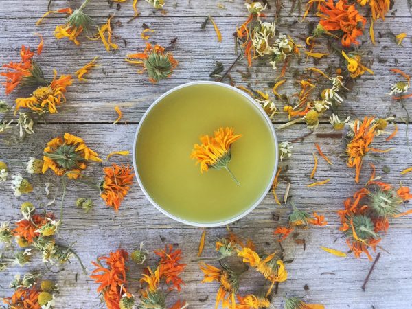 Pomada cicatrizante com flores de calêndula