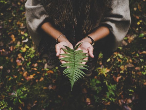 Saiba como criar um diário de fractais para exercitar a criatividade