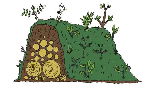Hugelkultur – cultivo de baixa irrigação e alta fertilização