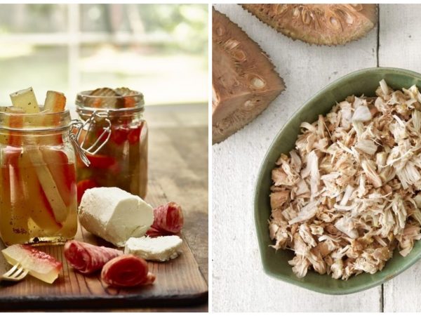 5 partes de plantas que você não sabia que podia aproveitar