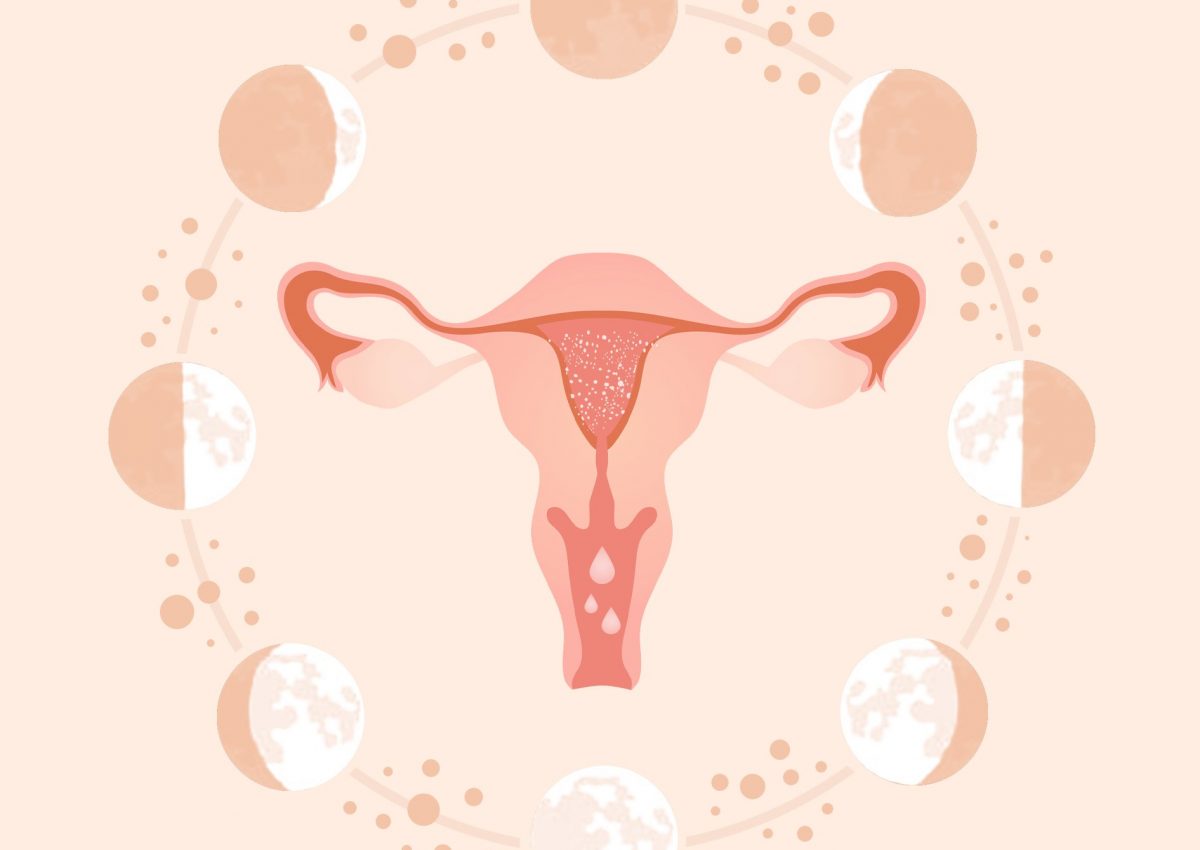 Acompanhamento lunar ciclo menstrual