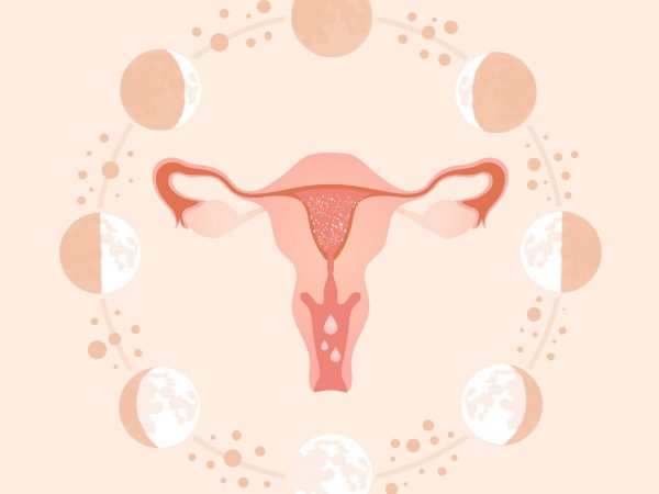Saiba como fazer um acompanhamento lunar do seu ciclo menstrual