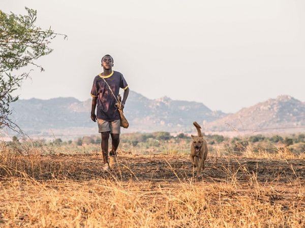 Motivos pra assistir o filme “O Menino Que Descobriu o Vento”