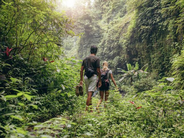 Turismo de contemplação: sintonia com a natureza
