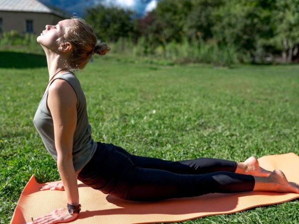 Como ser cobra reinventou meu ser