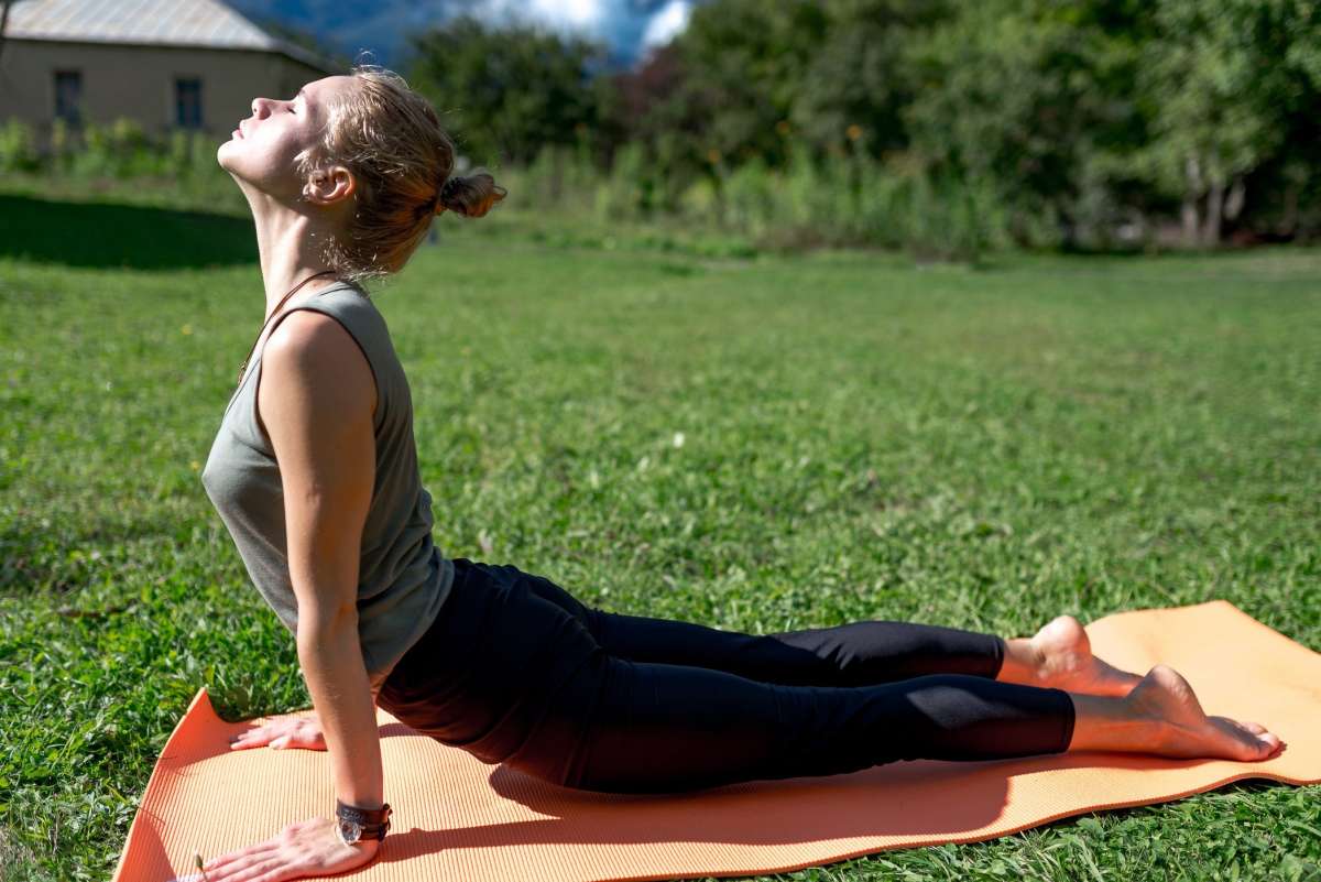 Como ser cobra reinventou meu ser