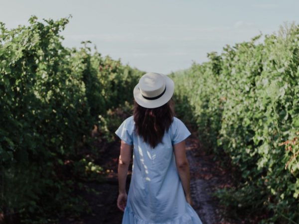 A sabedoria que trazemos e que sustenta uma existência plena e única!