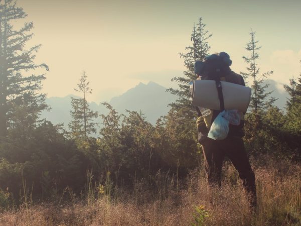 6 dicas para fazer uma viagem mais sustentável