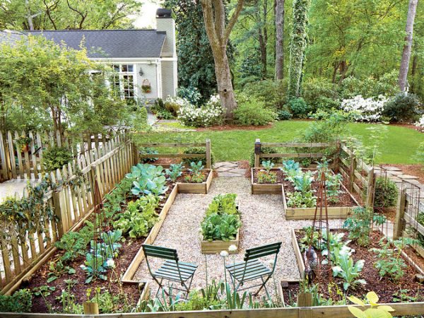 Como transformar seu jardim em uma horta orgânica