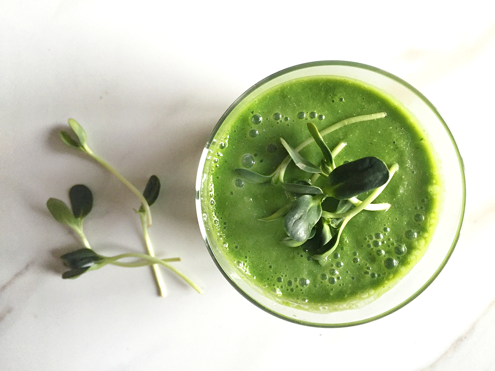 Suco da Terra – Poderoso promotor da alcalinização, vitalização e equilíbrio do corpo