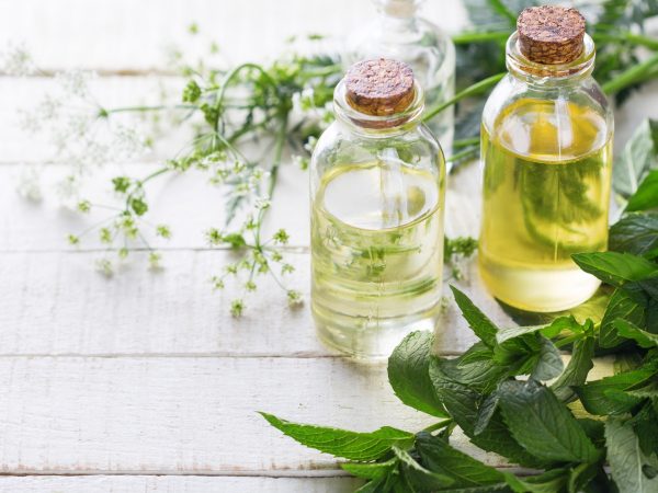 Saiba quais óleos essenciais e vegetais utilizar em pele seca