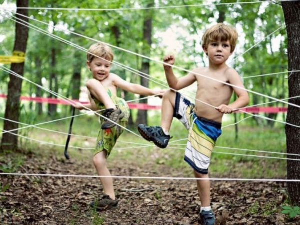 Aprenda como fazer um jardim sensorial para as crianças