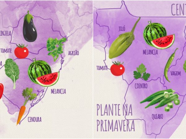Descubra o que plantar na sua região durante a Primavera