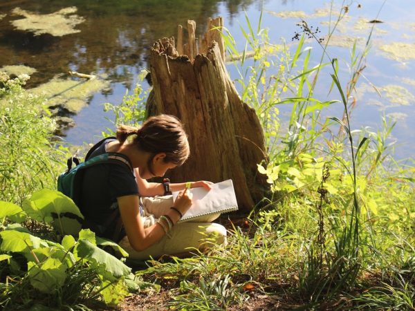 Como estimular sua memória com atividades simples do dia a dia
