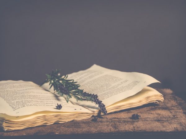 Aprenda a reutilizar papel e transformá-lo em objetos