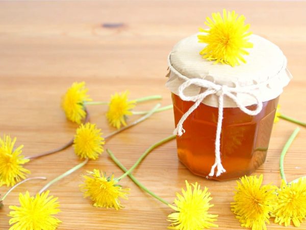 Receita: Geleia de Dente de Leão