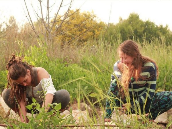 Curso Gratuito de Hortas em Ambientes Urbanos