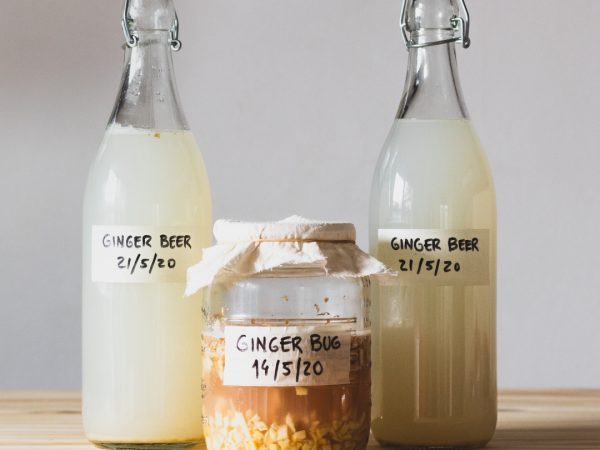 Como fazer cerveja de gengibre com ginger bug
