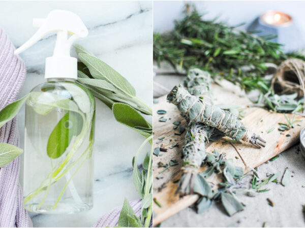 Sálvia – Aprenda como fazer spray e incenso natural