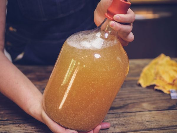 Aprenda a fazer hidromel caseiro