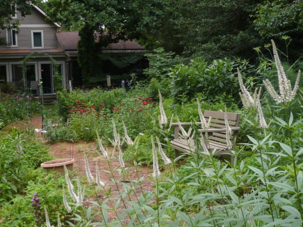 Aprenda como atrair polinizadores para o jardim