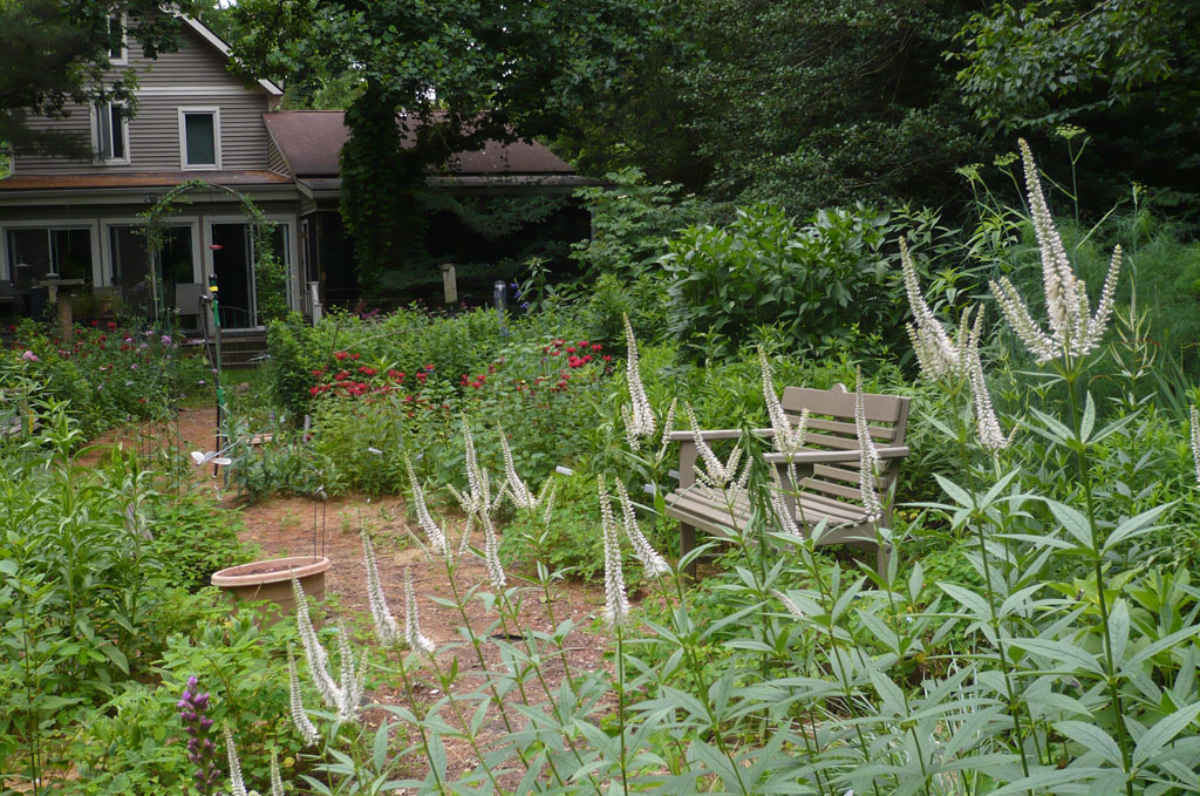 Aprenda como atrair polinizadores para o jardim