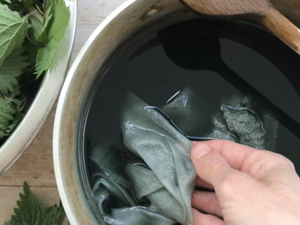 Como usar a urtiga para tingir tecidos