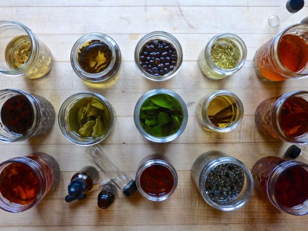 Como fazer tinturas de ervas +5 receitas