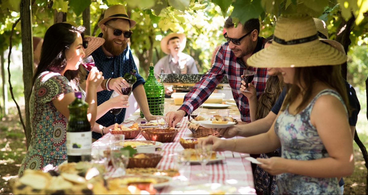 vinho organico biodinamico